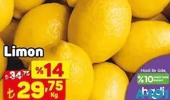 LİMON KG